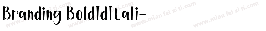 Branding BoldIdItali字体转换